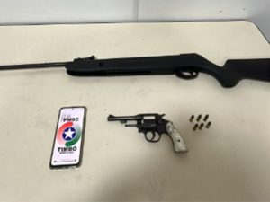 Criança de 2 anos leva coronhada durante ataque com arma de fogo em SC
