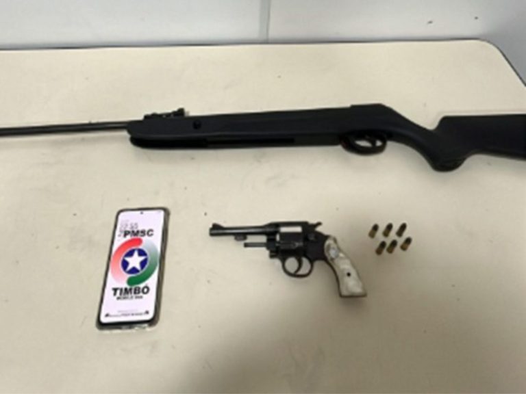 Criança de 2 anos leva coronhada durante ataque com arma de fogo em SC