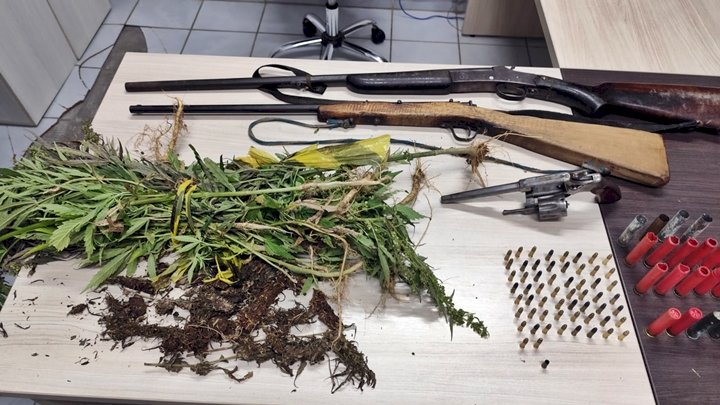 Polícia Militar descobre e destrói plantação com 138 mil pés de maconha em SC