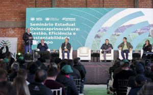 Sebrae/SC impulsiona cadeia da ovinocaprinocultura com evento inédito em Campos Novos