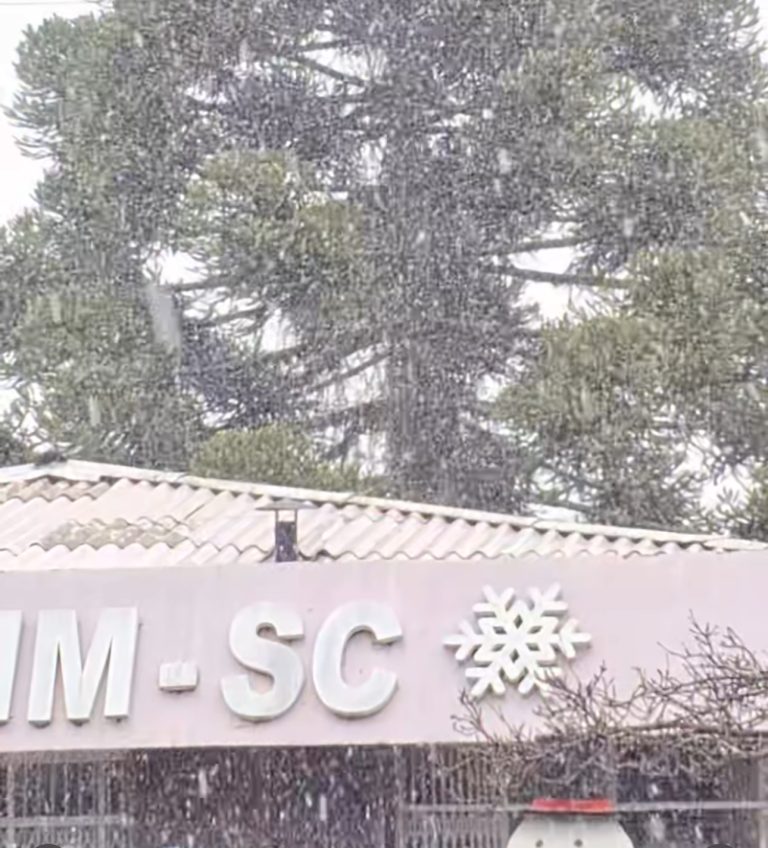 Neve é registrada em Santa Catarina no início de um fim de semana gelado