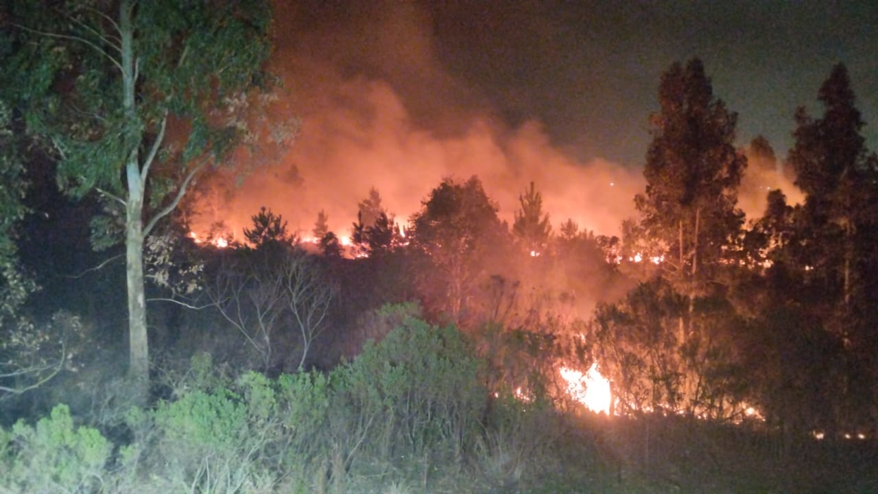 Bombeiros controlam incêndio de grandes proporções em área de vegetação em Curitibanos