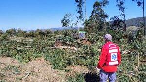 Idoso morre após árvore cair sobre ele no interior de Irani
