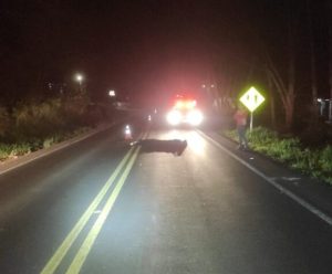 Homem morre atropelado por caminhão no Oeste de Santa Catarina