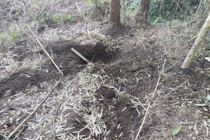 PM localiza corpo enterrado em área de mata em Chapecó