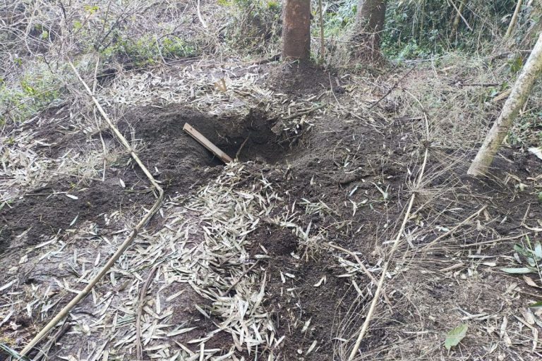PM localiza corpo enterrado em área de mata em Chapecó