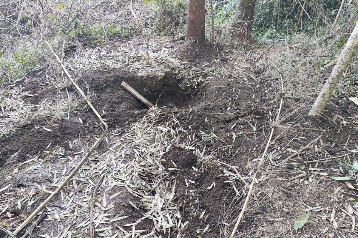 PM localiza corpo enterrado em área de mata em Chapecó