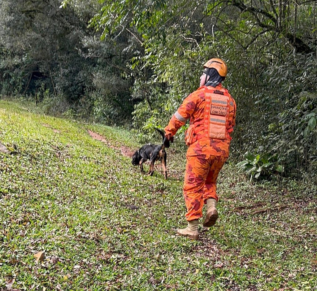 Grupo de resgate com cães conclui buscas por homem desaparecido em Jaborá, mas investigações continuam