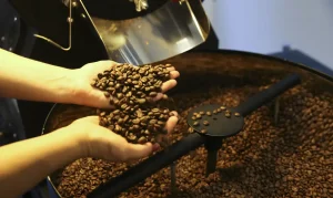 Preço do café registra primeira queda em 18 meses, aponta IBGE