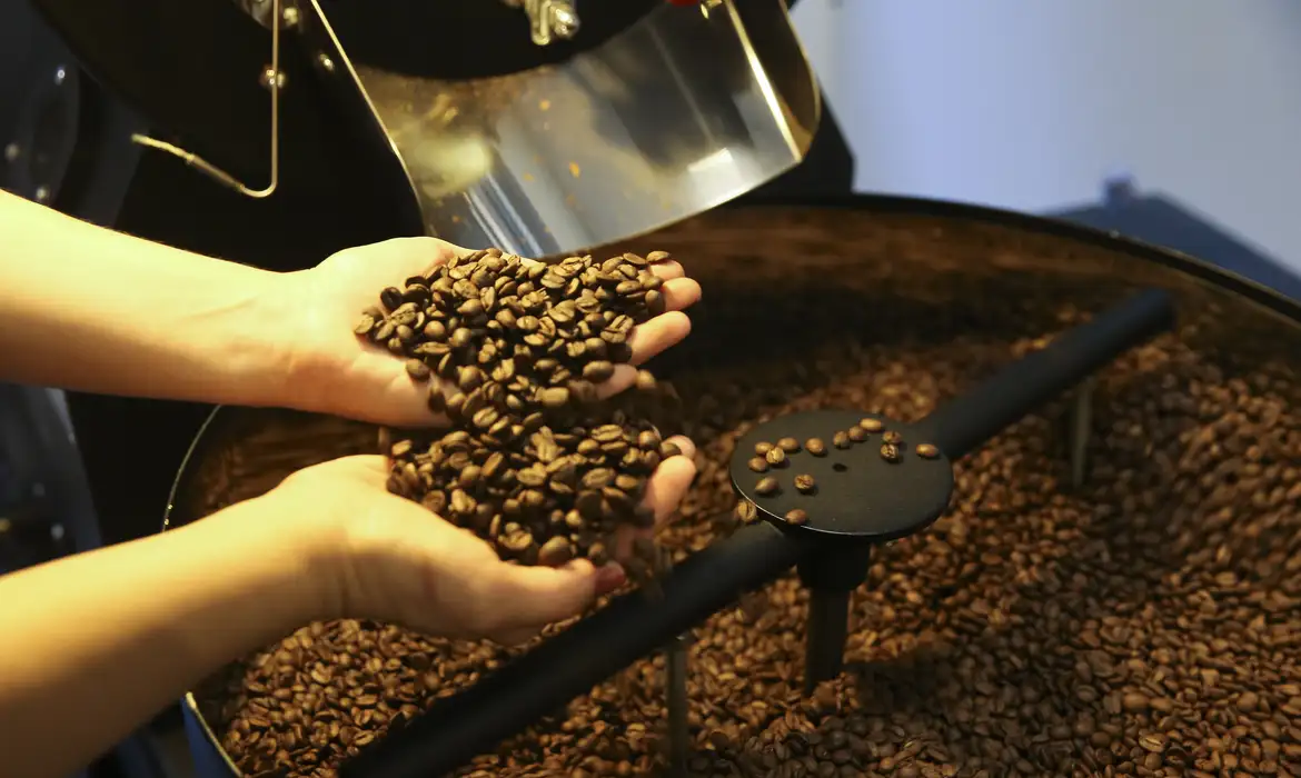 Preço do café registra primeira queda em 18 meses, aponta IBGE