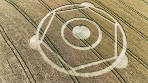 Expectativa: Temporada de agroglifos começa em SC e aumenta curiosidade pelos sinais misteriosos