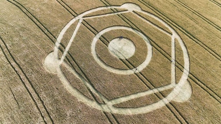 Expectativa: Temporada de agroglifos começa em SC e aumenta curiosidade pelos sinais misteriosos