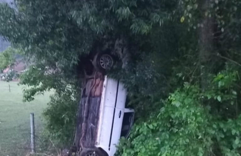 Condutor fica ferido após colisão contra árvore na SC-154