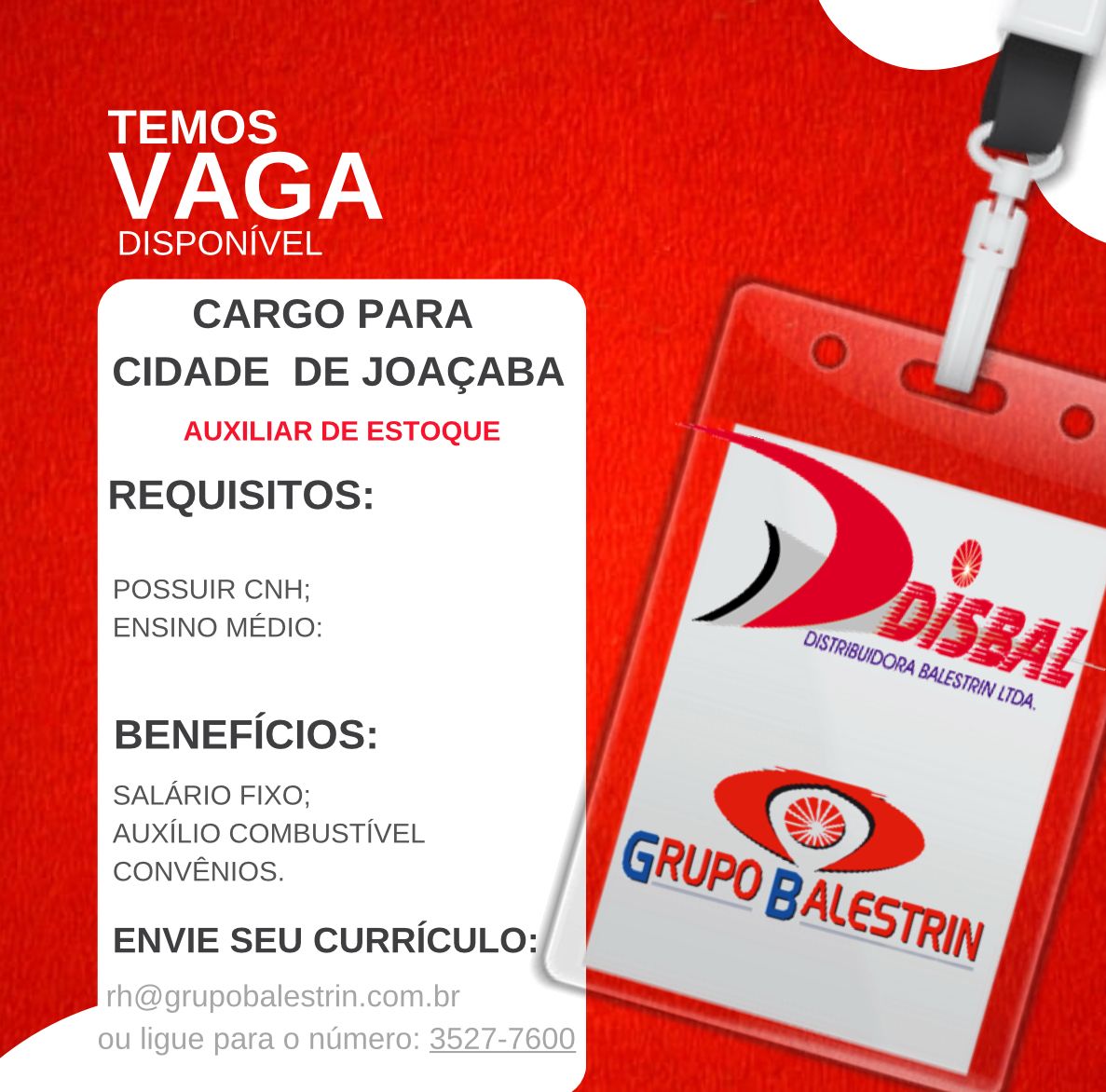 Auxiliar de Estoque