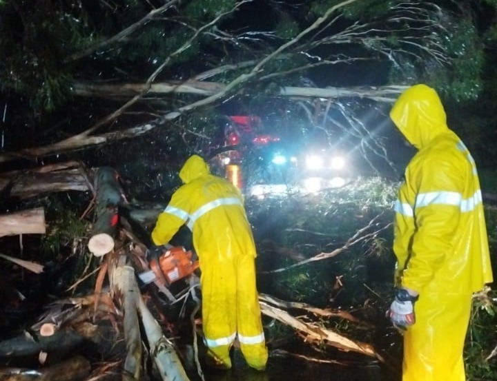 Fortes ventos derrubam árvores sobre veículo na SC-135 em Campos Novos