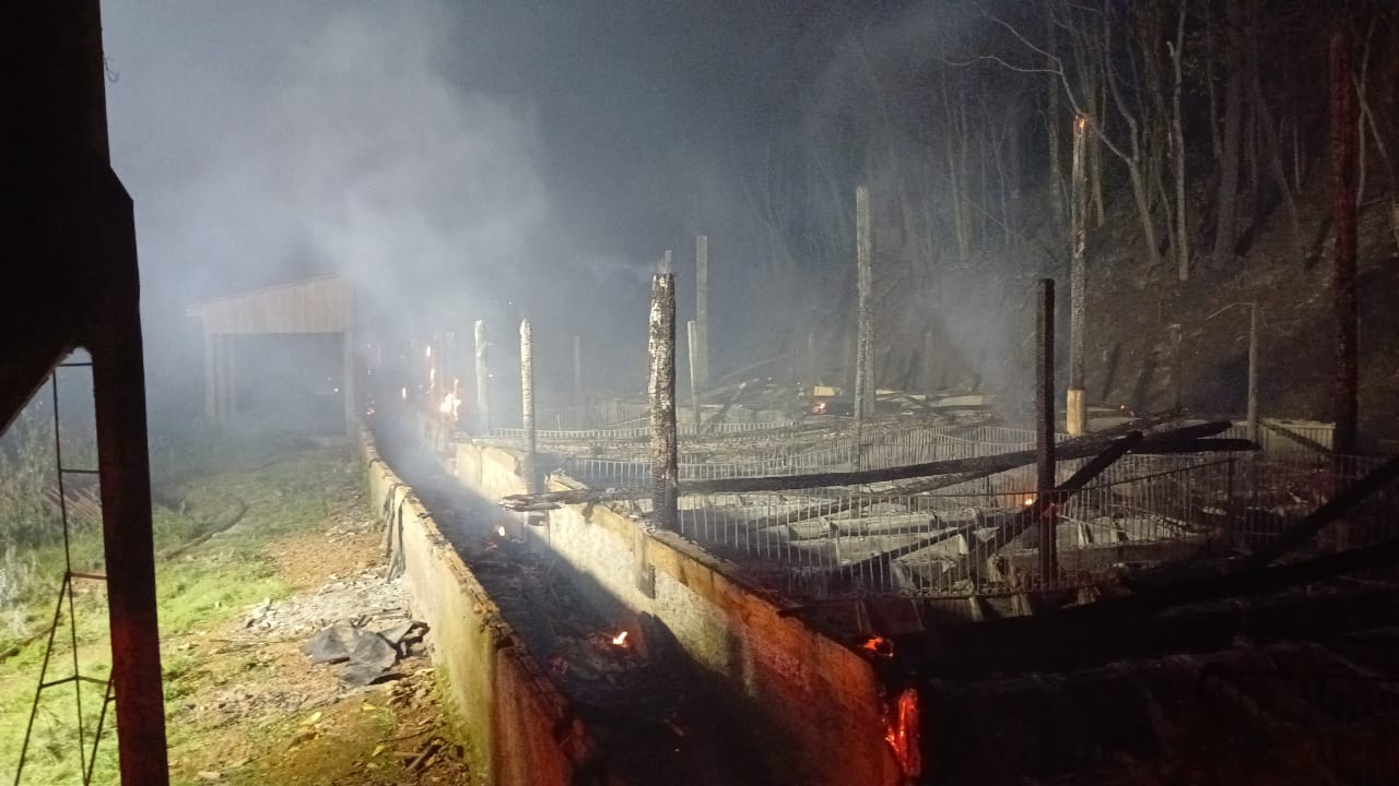 Incêndio destrói granja de suínos no interior de Ibicaré