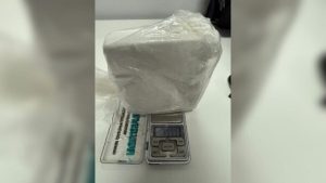 Jovem é preso em ônibus com meio quilo de cocaína em Rio do Sul