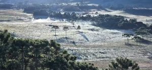 Primavera começa com geada e temperaturas próximas a 0ºC em SC