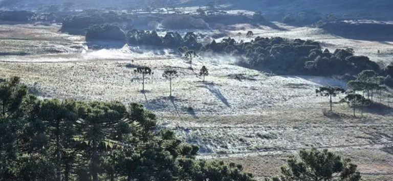 Primavera começa com geada e temperaturas próximas a 0ºC em SC