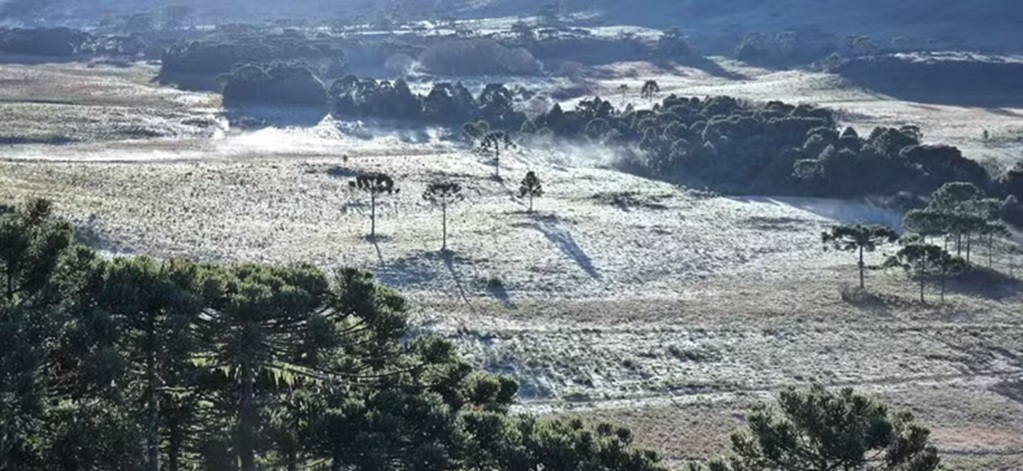 Primavera começa com geada e temperaturas próximas a 0ºC em SC