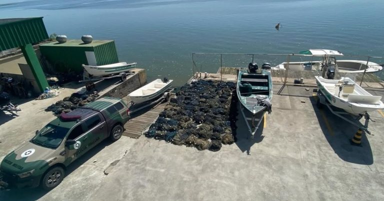 Polícia Ambiental apreende 122 redes em operação no Sul de SC