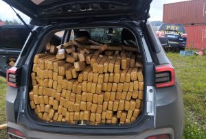 PRF intercepta mais de uma tonelada de maconha em Santa Catarina