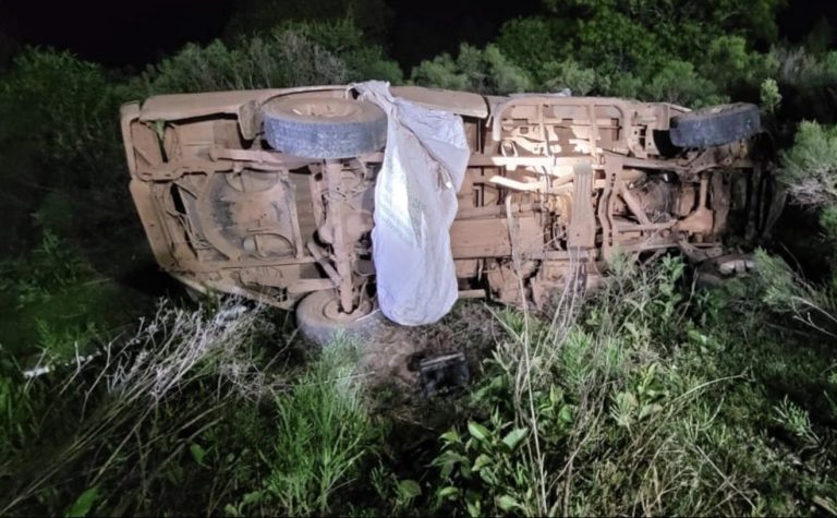 Após acidente, motorista é atacada por enxame de abelhas e morre