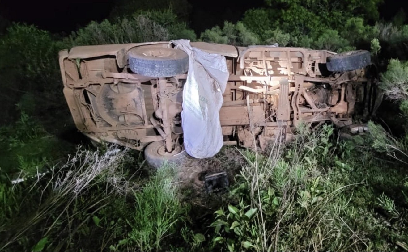 Após acidente, motorista é atacada por enxame de abelhas e morre
