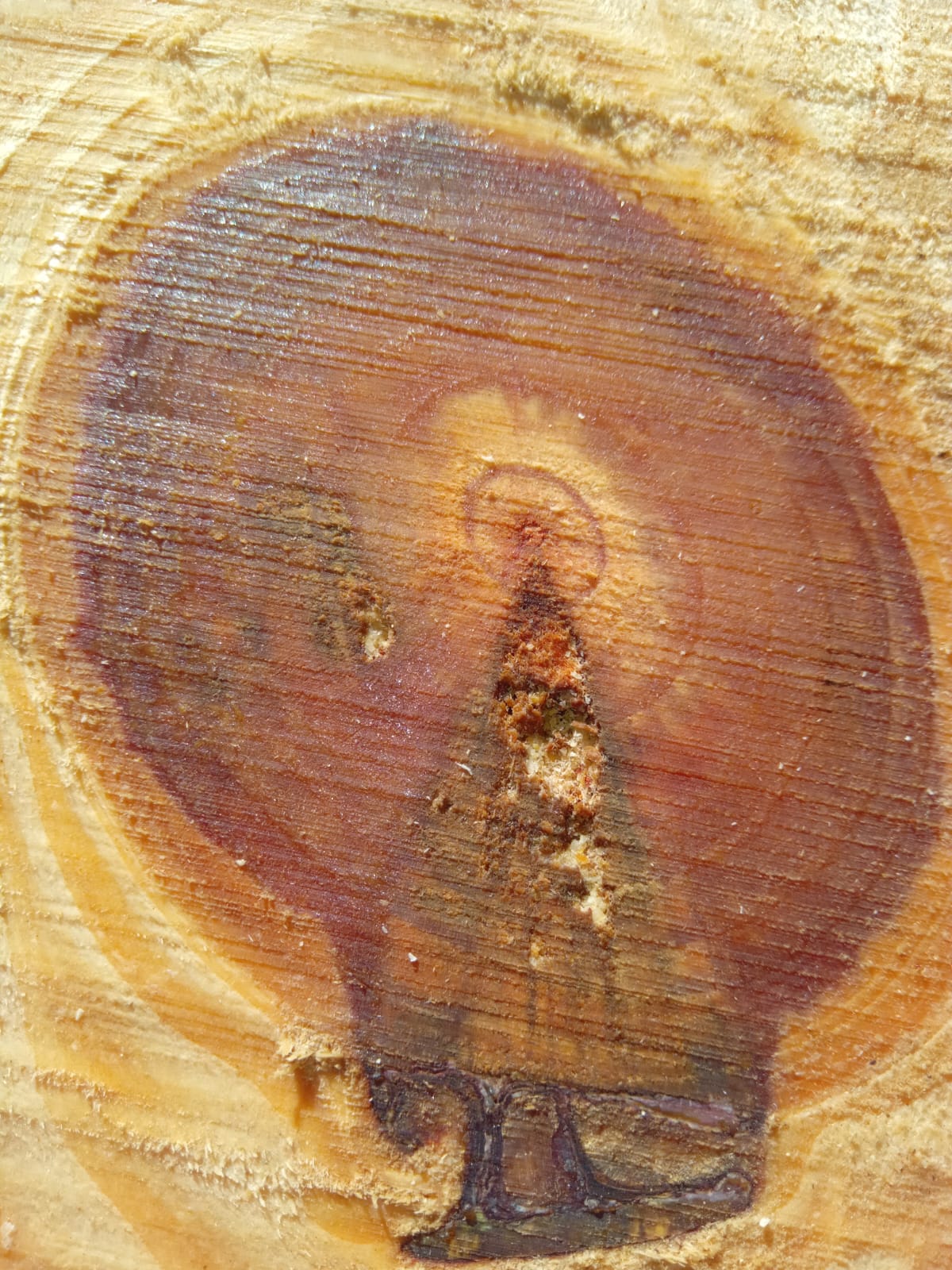 Imagem de Nossa Senhora Aparecida surge em tábua cortada por casal de Vargem Bonita