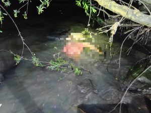 Corpo é encontrado boiando no Rio do Peixe em Videira