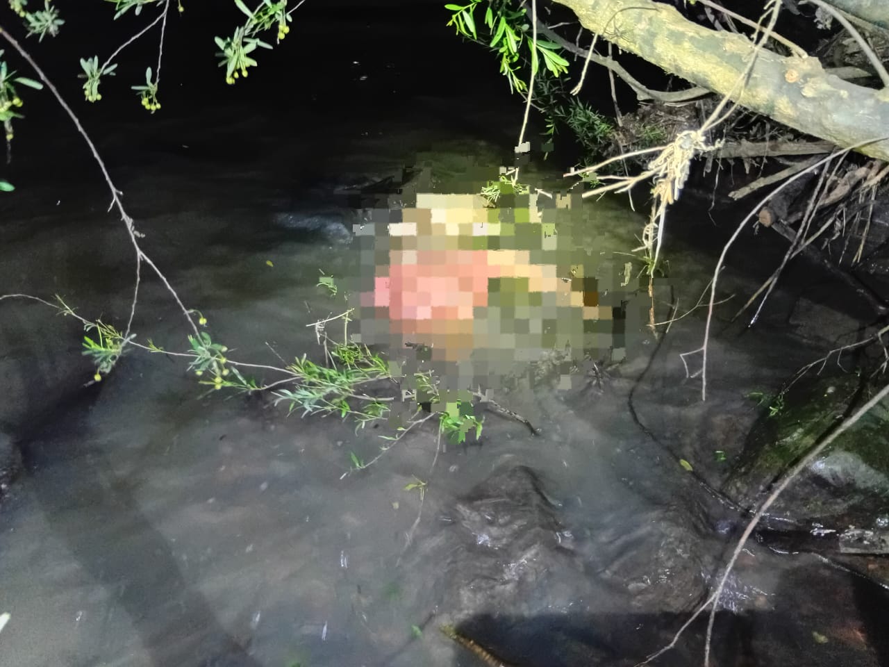 Corpo é encontrado boiando no Rio do Peixe em Videira