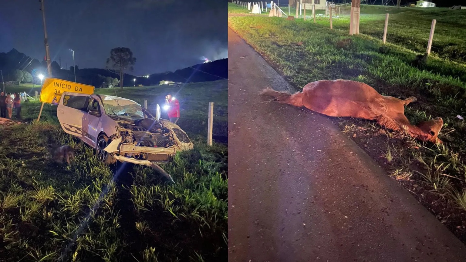 Cavalo morre e motorista fica ferido em acidente registrado na SC-350