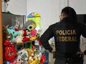 Operação contra exploração sexual infantil prende homem no Oeste catarinense