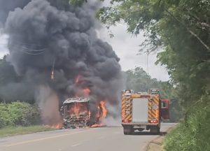 Ônibus é consumido por incêndio na SC-150 entre Ouro e Lacerdópolis