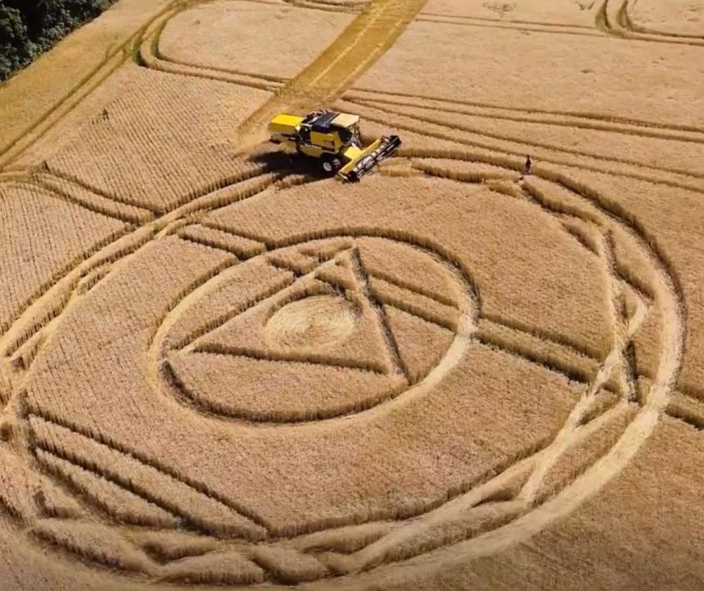 Após aparecimento de agroglifo, proprietário colhe área e desfaz a figura