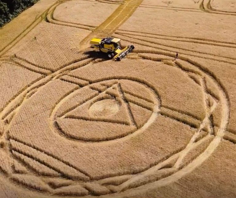 Após aparecimento de agroglifo, proprietário colhe área e desfaz a figura