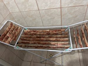 Prisão, apreensão de armas e dinheiro na mala: saiba detalhes de operação policial no Oeste