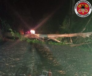 Temporal causa estragos e mobiliza equipes de emergência em Rio das Antas