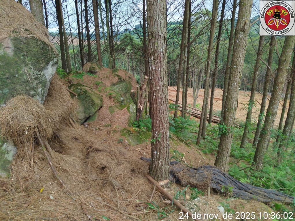Corpo é encontrado no interior de Rio das Antas