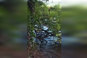 Menino autista é salvo após desaparecer em rio no Oeste de SC