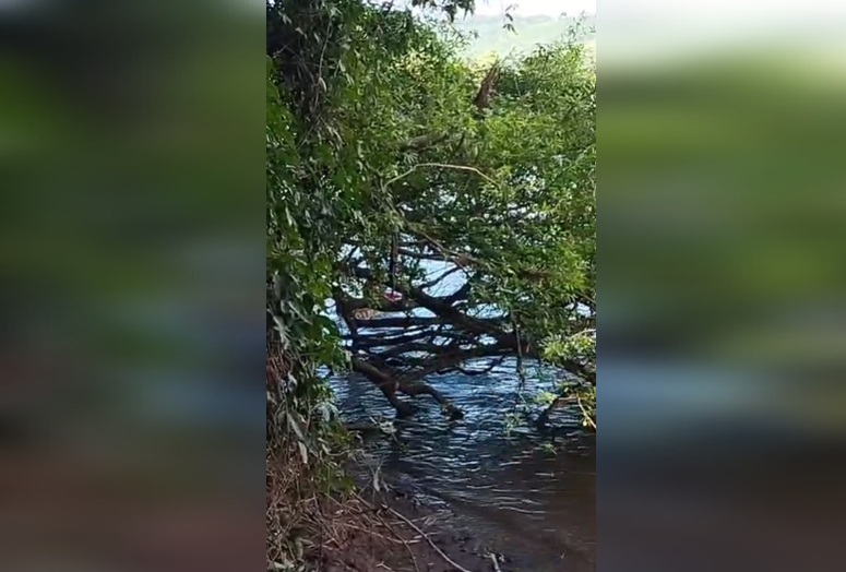 Menino autista é salvo após desaparecer em rio no Oeste de SC
