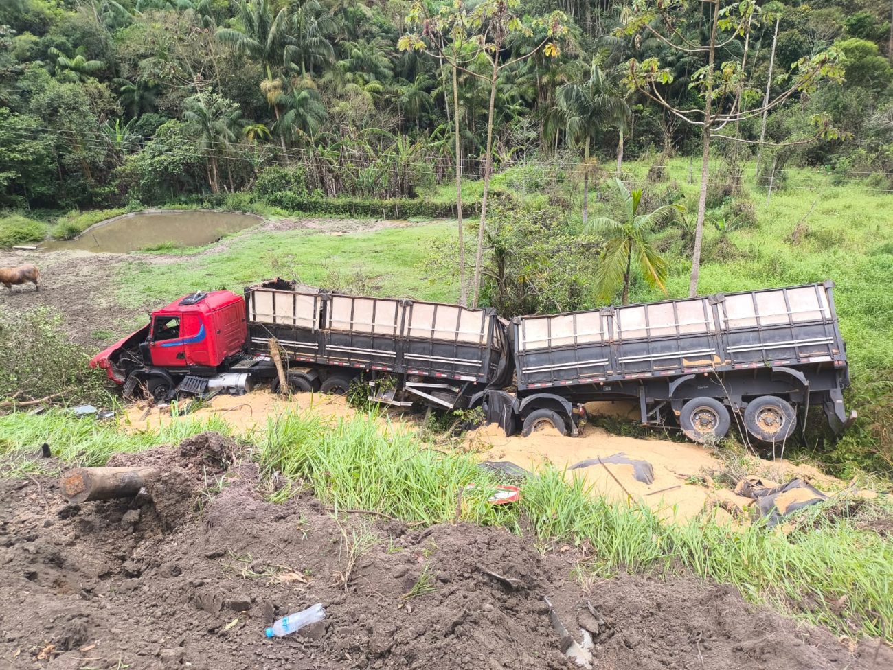 Veículos caem em ribanceira e homem morre após batida na BR-470, em SC