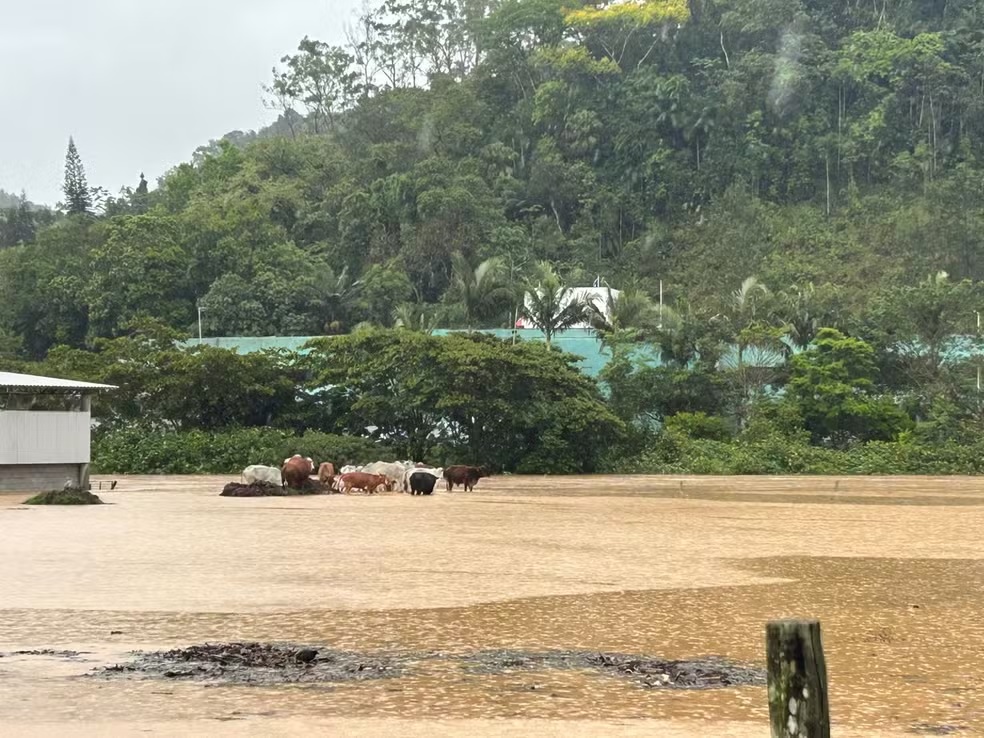 Sobe para onze o número de cidades em situação de emergência em SC