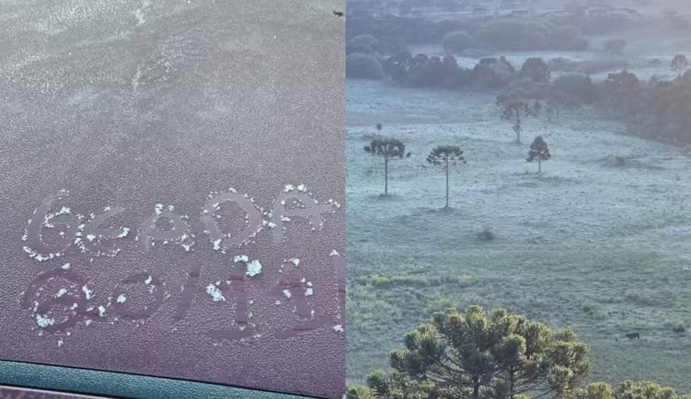SC amanhece com geada e temperaturas próximas de 2°C a um mês do verão (fotos)