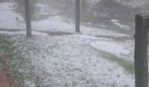 Temporal com granizo causa estragos e interdições em SC
