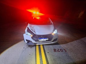 Animal invade rodovia e atinge veículo no Oeste
