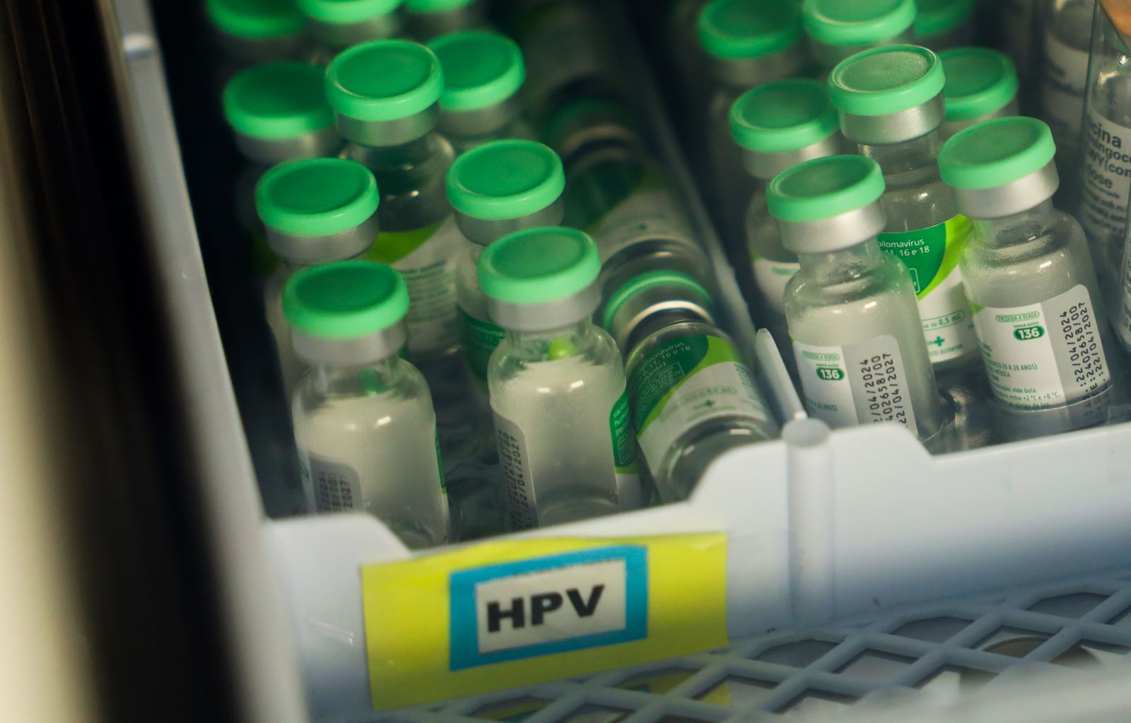 Santa Catarina amplia vacinação contra HPV e reforça importância da imunização
