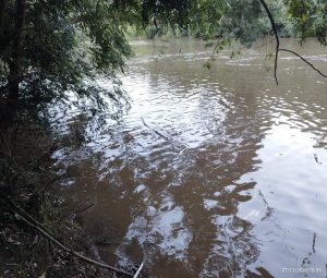 Adolescente de 13 anos morre afogado no Rio do Peixe em Tangará