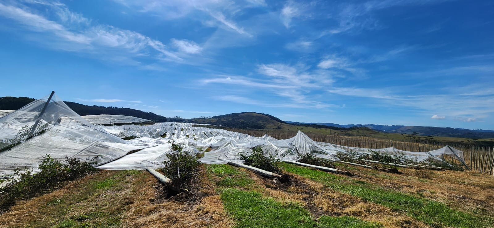 Granizo em SC gerou prejuízo superior a R$ 320 milhões
