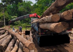Trabalhador morre esmagado em descarregamento de toras no Oeste